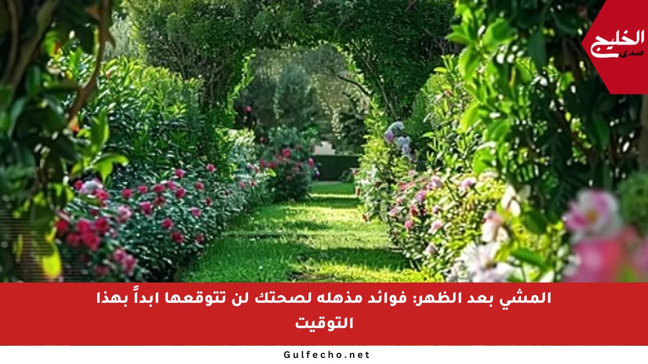 المشي بعد الظهر: فوائد مذهلة لصحتك لن تتوقعها أبداً بهذا التوقيت